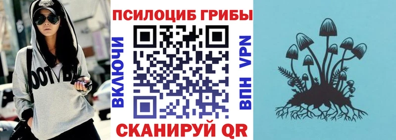 Галлюциногенные грибы Magic Shrooms  mega маркетплейс  Верещагино 